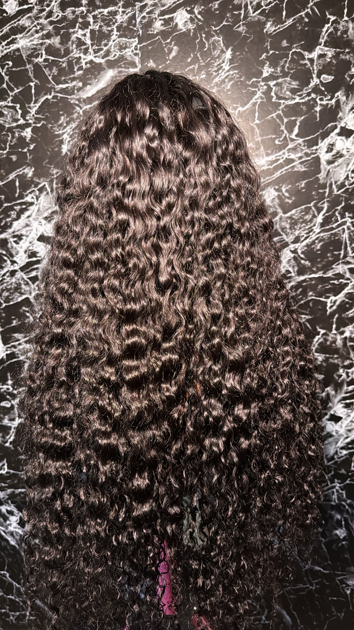 Burmese Curly
